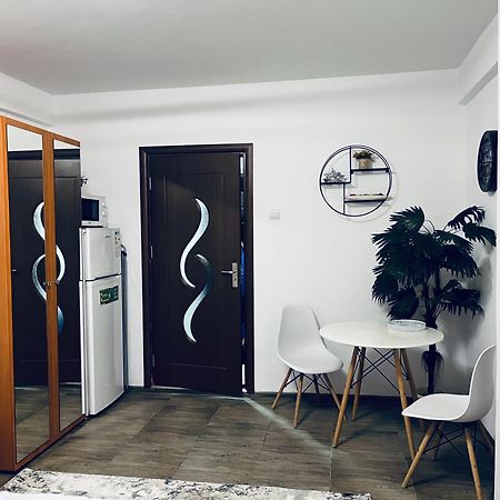 Ferienwohnung Studio Vio Tulcea Exterior foto